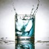Wietzaadjes ontkiemen in een glas water