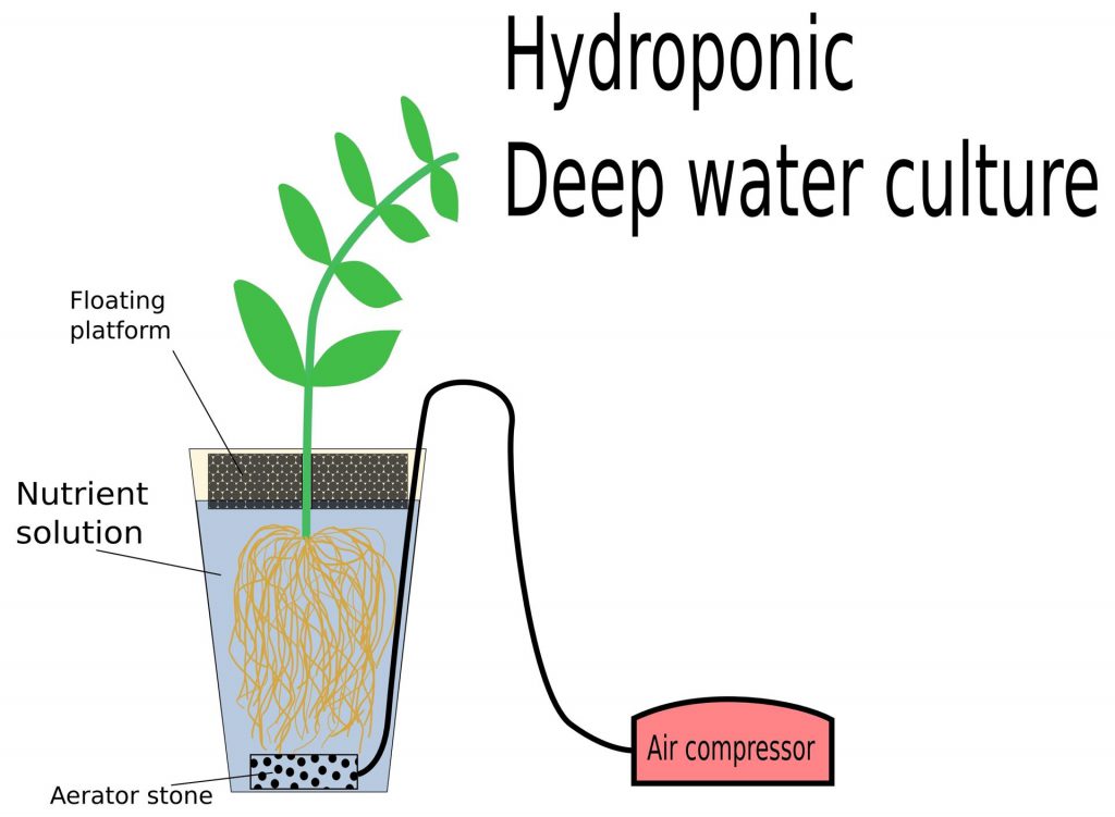 Deep water cultuur hydrologisch